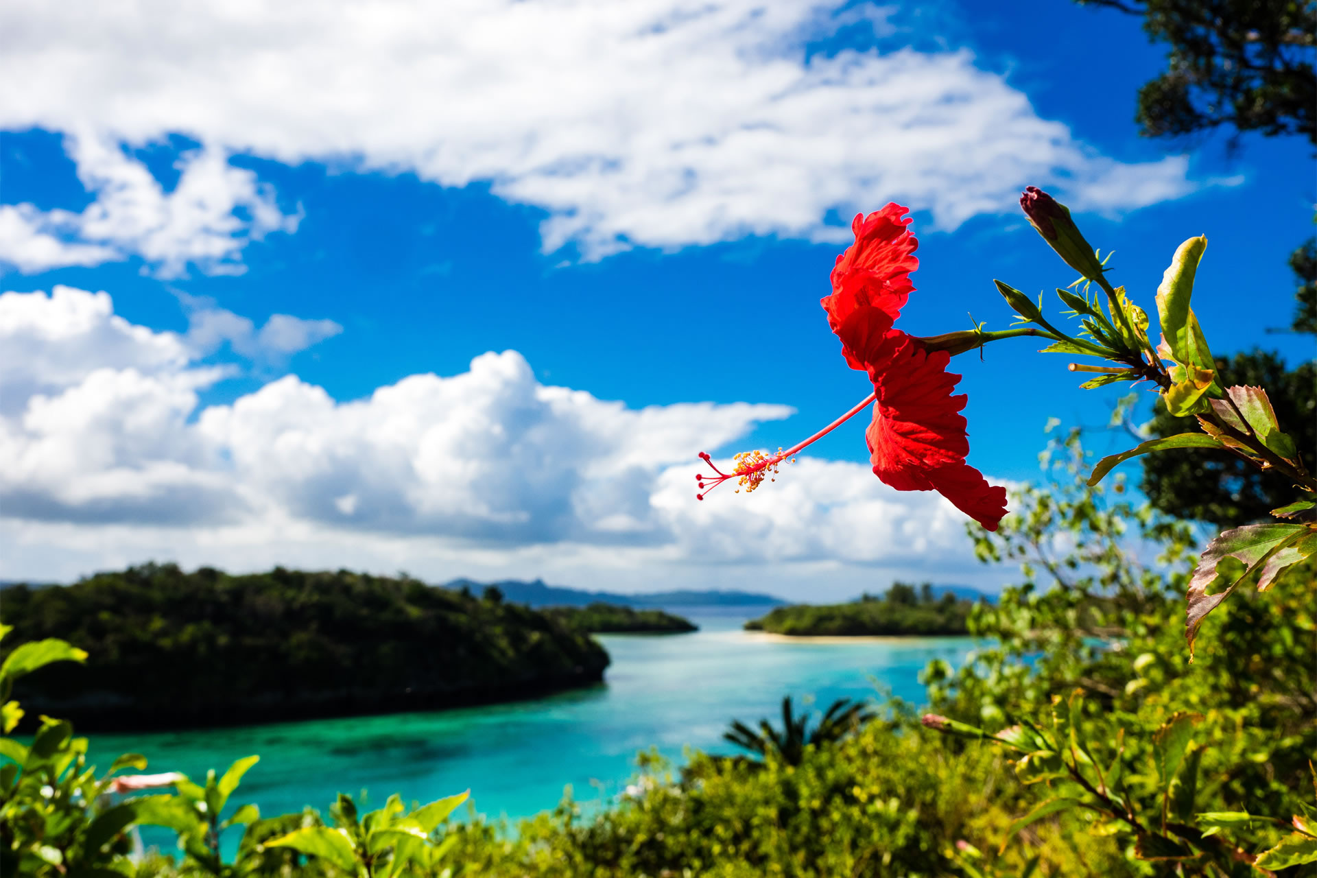 ネットワークは沖縄発の独立系IT企業です。