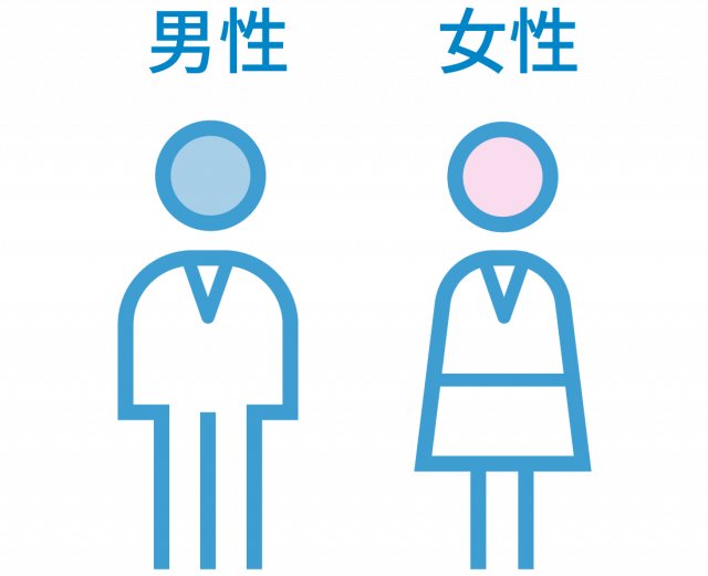 社員の男女比率